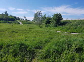 Wandelpaden Huygendijkbos worden opgeknapt vanaf 20 april
