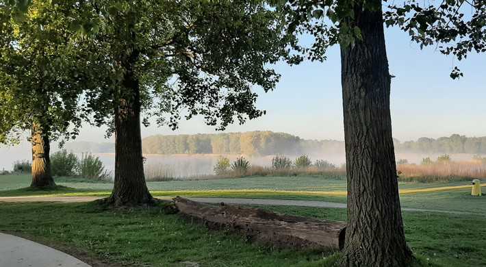 fotowedstrijd 40 jaar 4